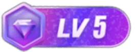 等级-LV5-福利姬杂货铺