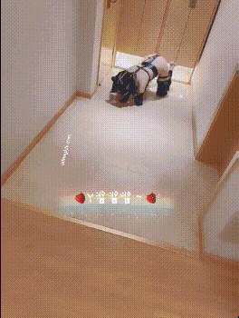 小母狗萝莉[Y酱酱酱]清纯反差 [31v121p+158m]